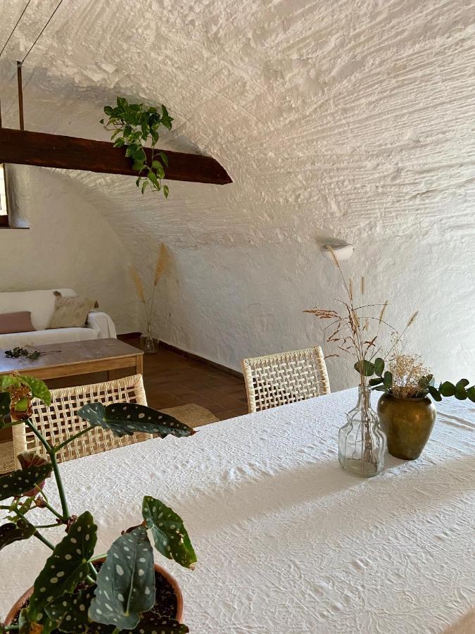 Hotel Ecoturisme Mas Ribas à Palamós Extérieur photo