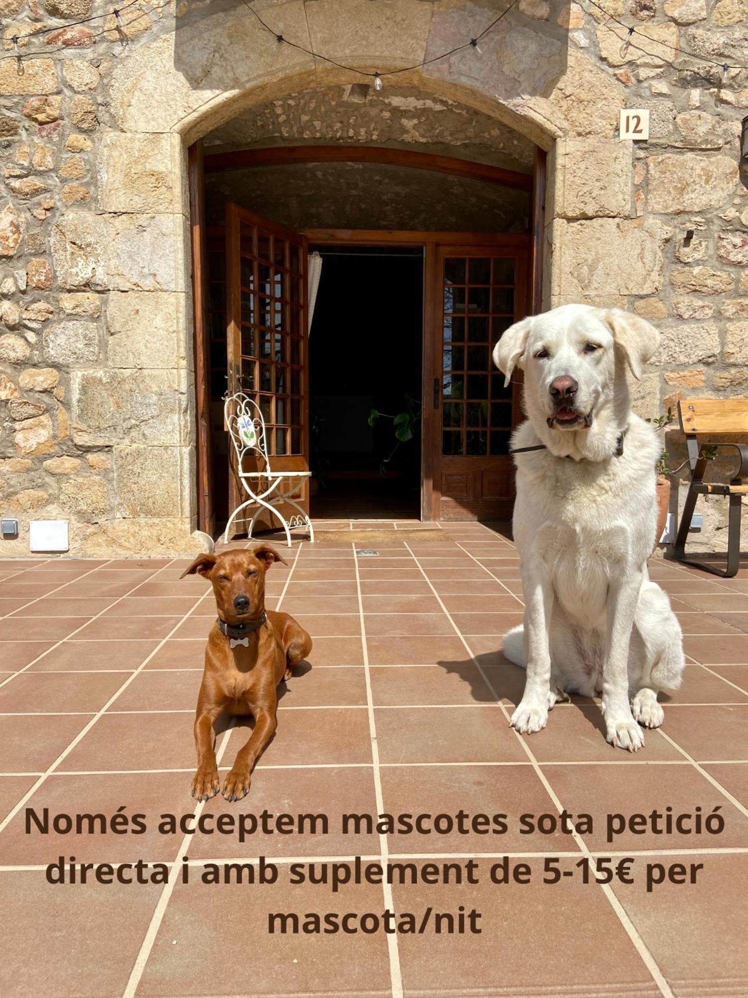 Hotel Ecoturisme Mas Ribas à Palamós Extérieur photo